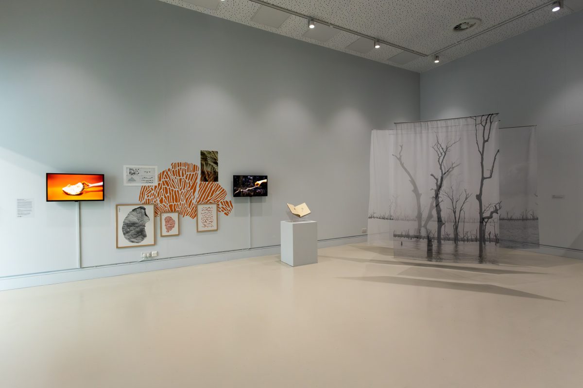 Installation shot of We live like trees inside the footsteps of our ancestors at Blenheim Walk Gallery